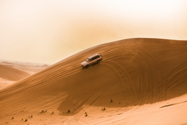 Desert Safari (Abu-Dhabi)